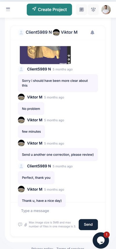 Mobile App Interface